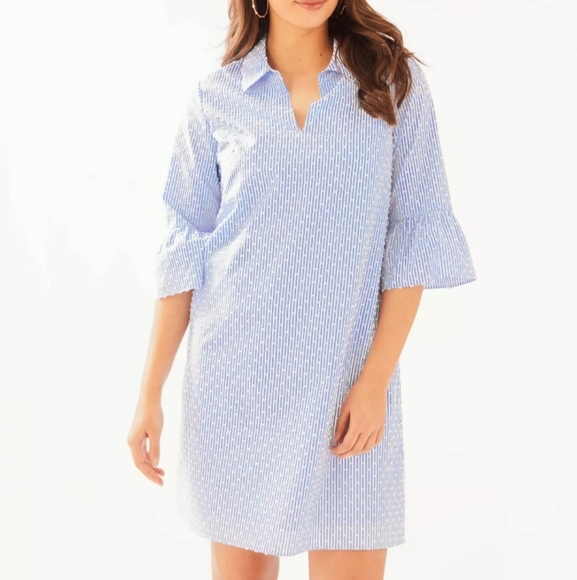 Lilly Pulitzer Ginger Dress Blue Peri Tint Blue White Stripe Swiss Dot 0 - Picture 2 of 15